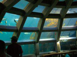Underwater Construction