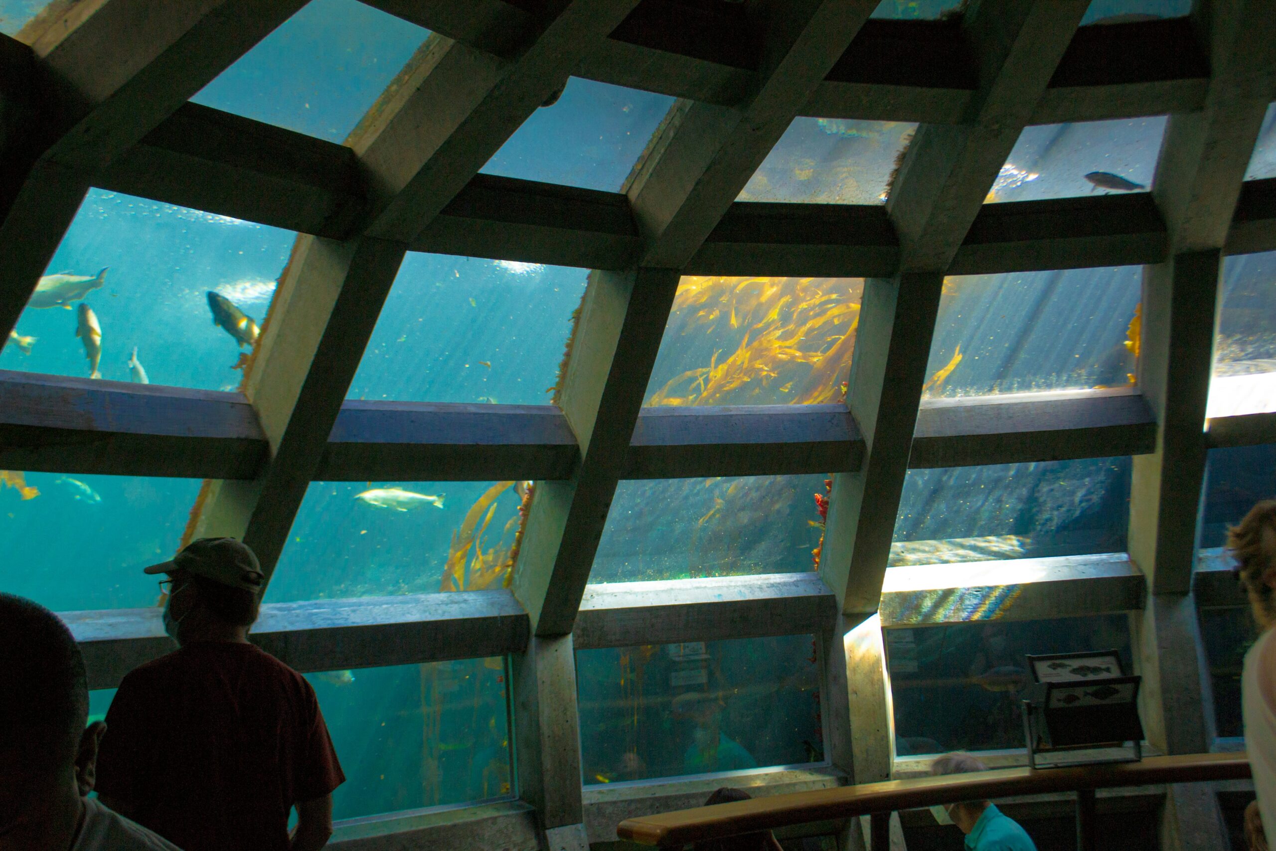 Underwater Construction